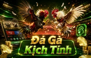 Giao diện sảnh Đá Gà trên zoebytedigital.com